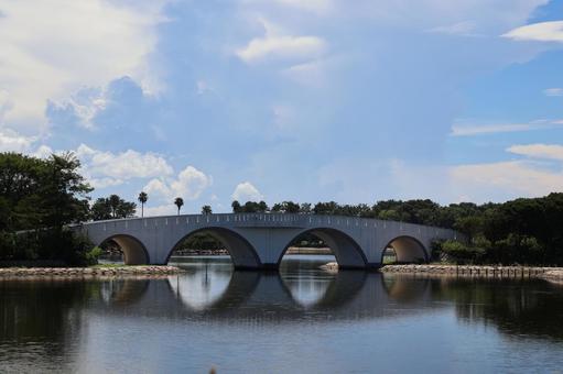 青空と雲と緑の木々の森と池と橋のある公園 青空と雲と緑の木々の森と池と橋のある公園 青空,雲,緑の写真素材