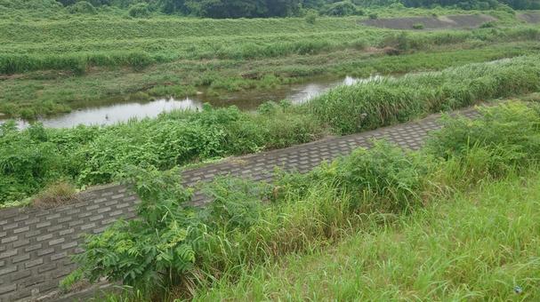 河原の風景 河原の風景 河原の風景,河川敷の風景,川の写真素材