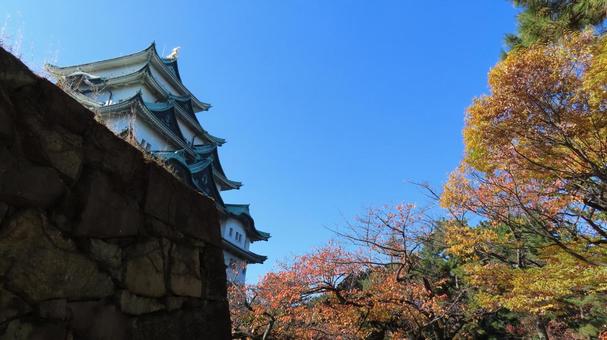名古屋城　天守　紅葉 名古屋城,尾張徳川家,御三家の写真素材