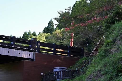 Photo, torii, bridge, minami satsuma, 
