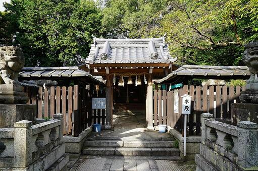 パワースポット　伊豆神社㊵　本殿 滋賀県大津市,伊豆神社,パワースポットの写真素材