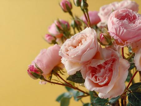 繊細な色合いのピンクローズブーケの写真