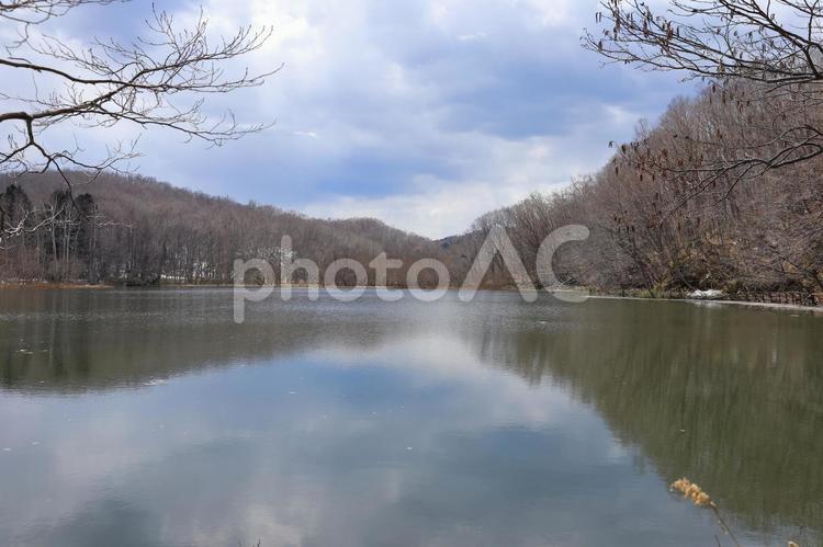 春の西岡水源池(南側) 2 春,西岡水源池,西岡水源地の写真素材
