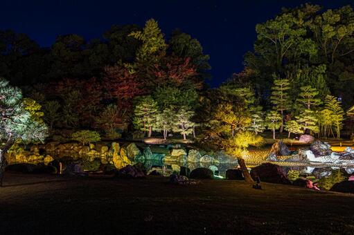 紅葉風景 紅葉風景,京都,二条城の写真素材