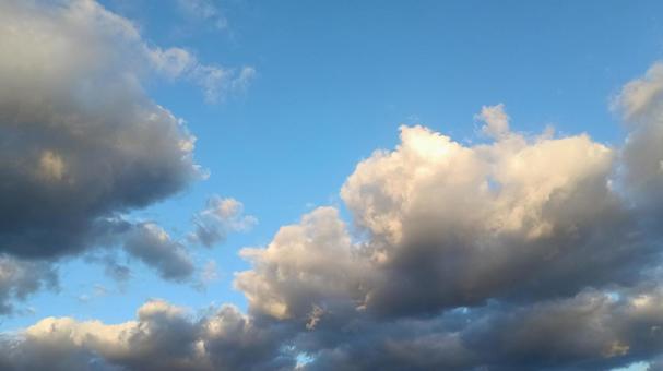 秋空 秋,空,青空の写真素材