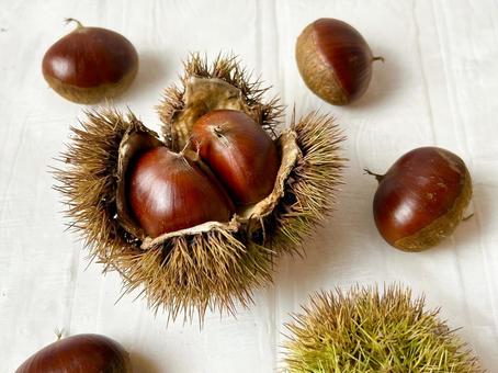 実りの秋のイメージの栗とイガ栗(横) 実りの秋のイメージの栗とイガ栗(横) 秋,栗,壁紙の写真素材