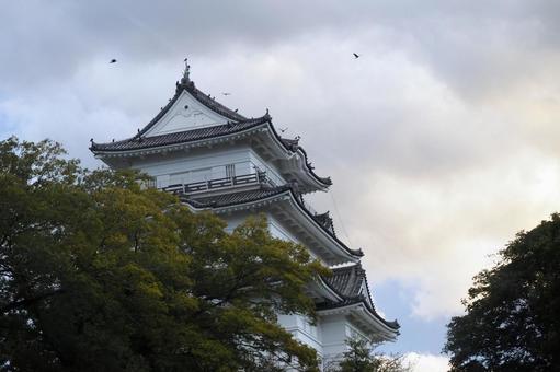 夕闇の小田原城 小田原城,城郭,天守閣の写真素材