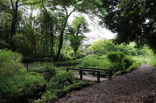里山の橋 里山の橋の写真