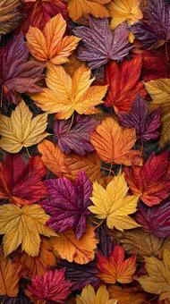 鮮やかな紅葉の葉のクローズアップ 鮮やかな紅葉の葉のクローズアップの写真