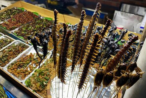 タイの昆虫食　 昆虫食,露店,芋虫の写真素材