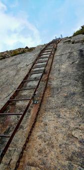 Photo, a ladder, ladder, climbing, 