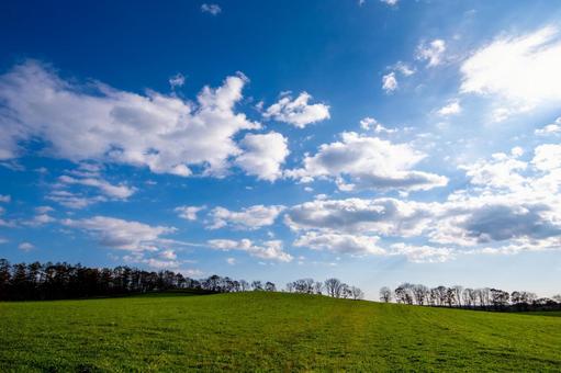 雲の広がる空と広大な牧草地 丘,草原,青空の写真素材