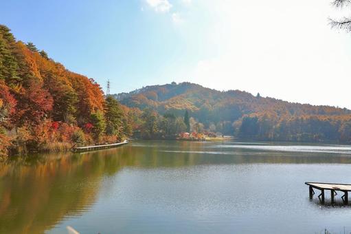 紅葉　長野県　聖湖 湖,自然,晴れの写真素材