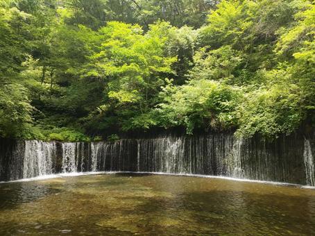 白糸の滝 白糸の滝の写真