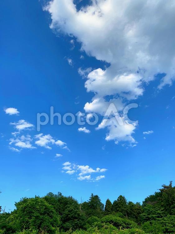 青空と緑２（縦） 青空,雲,緑の写真素材