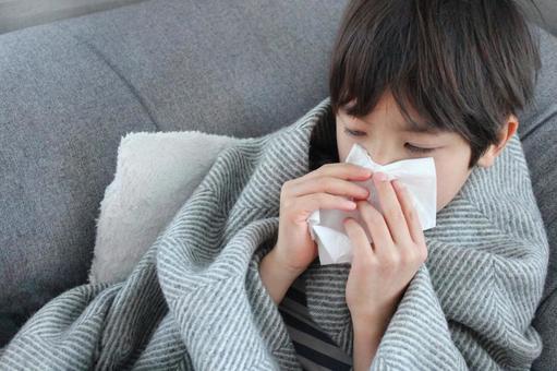 鼻をかむ少年 8 風邪,花粉症,夏風邪の写真素材