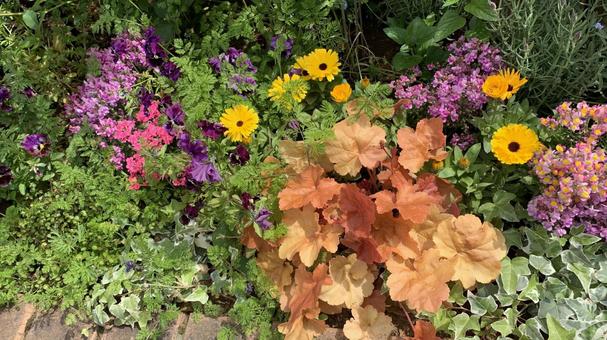 Photo, gardening, implantation, natural, 