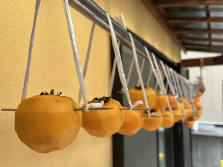 干し柿 干し柿,柿,果物の写真素材