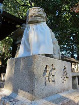 多奈波太神社 狛犬 多奈波太神社 狛犬 多奈波太神社,天道,七夕の写真素材