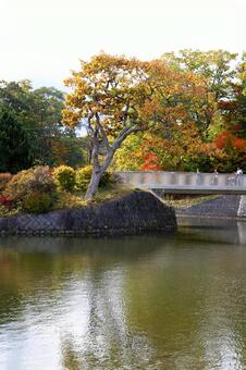大沼国定公園の美しいモミジの反射 大沼国定公園,反射,紅葉の写真素材