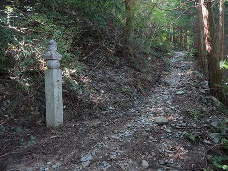 高野山 町石道 高野山 町石道の写真
