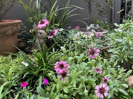 紫の花に囲まれたウサギのオブジェ 花,小花,ウサギの写真素材