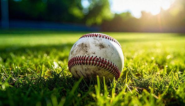 野球ボール 野球ボールの写真