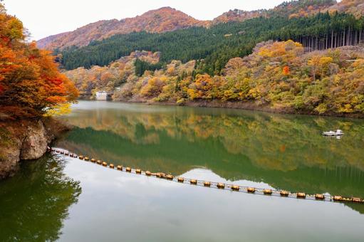 鳴子ダムの紅葉⒆の写真