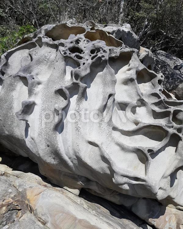 竜串海岸 竜の卵 竜串海岸 竜の卵 高知,自然,奇岩の写真素材