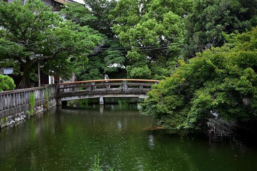 京都の風情によく映える緑の草木と河と橋の写真