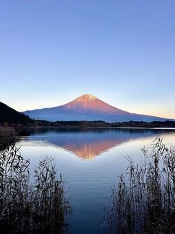 田貫湖と富士山の夕景 富士山,田貫湖,秋の写真素材
