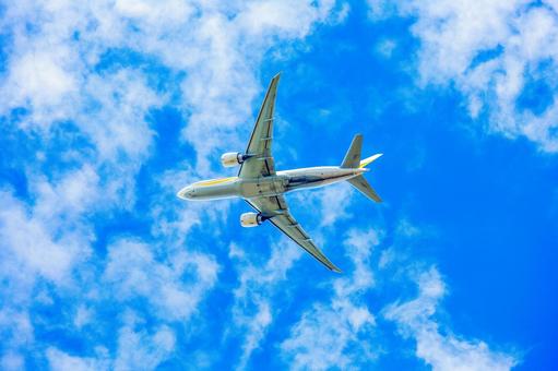 飛行機 飛行機,航空機,ジェット機の写真素材