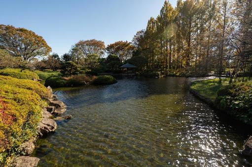 色づく秋の公園の辺り 色づく秋の公園の辺り 池,公園,紅葉の写真素材