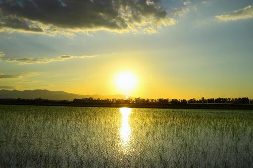 Evening Scenery, JPG