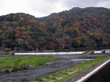 嵐山　京都 嵐山,京都,大堰川の写真素材