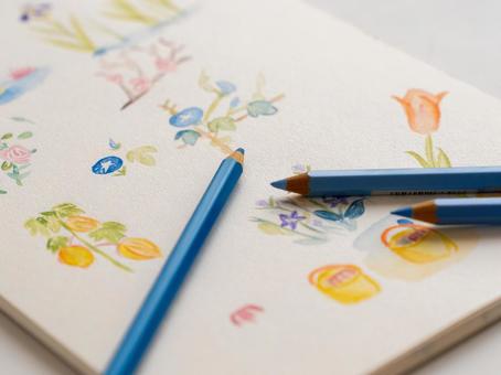 水彩色鉛筆で描かれたイラスト イラスト,水彩色鉛筆,画用紙の写真素材