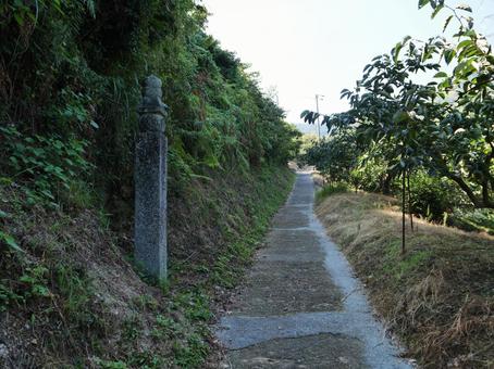 高野山 町石道 高野山 町石道の写真