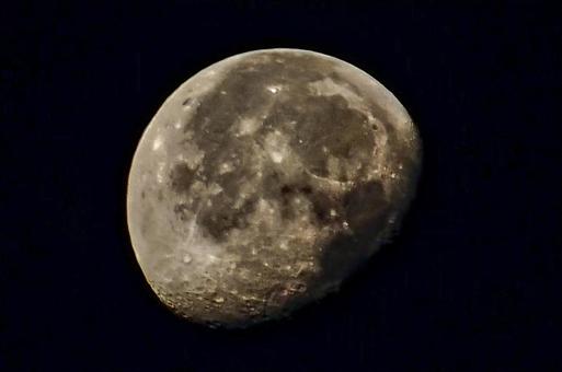 <素材>空に浮かぶ夏の夜の月の姿 <素材>空に浮かぶ夏の夜の月の姿 月,お月様,半月の写真素材