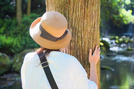 パワースポットで癒される女性の後ろ姿 ポートレート,さわやか,元気いっぱいの写真素材