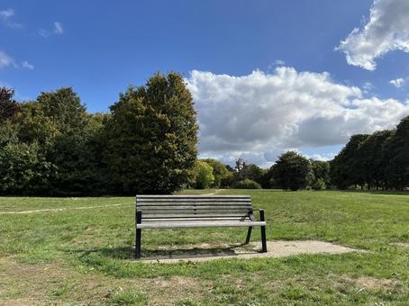 公園のベンチと青空 ベンチ,公園,青空の写真素材