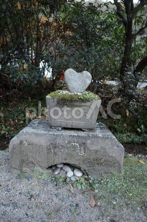 御岩神社　参道のハート石 御岩神社,ハート,日立市の写真素材