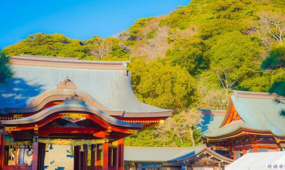 鎌倉の神社境内 神社,社殿,朱色の門の写真素材