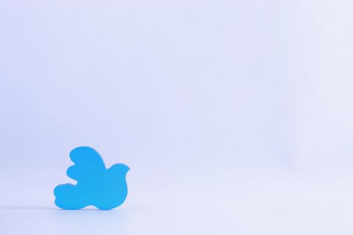 Photo, bird, colorful, piece, 