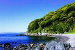 真鶴番場浦海岸の岩場と新緑 真鶴,番場浦,神奈川の写真素材