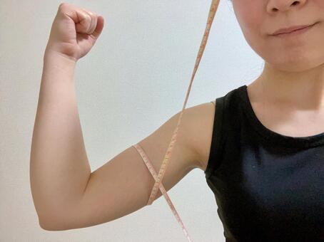 二の腕を測る女性 女性,二の腕,脂肪の写真素材