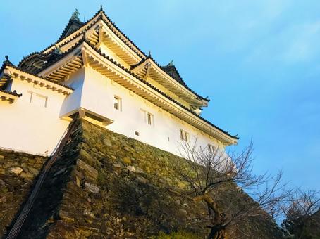Wakayama Castle, JPG