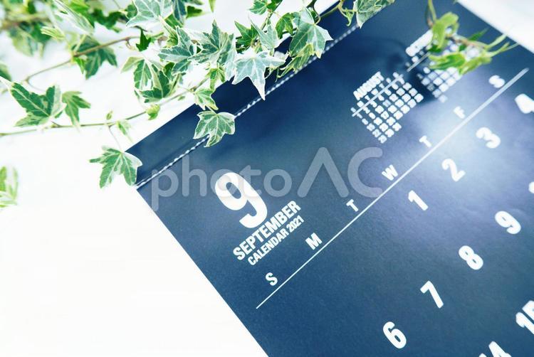 2021年９月、カレンダーと観葉植物 2021年,2021,9月の写真素材