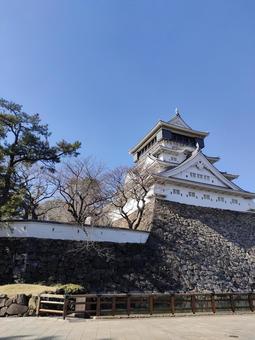 小倉城 城,小倉城,城壁の写真素材