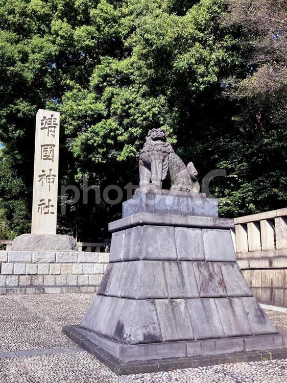 東京風景・靖国神社 靖国神社,靖国,神社の写真素材