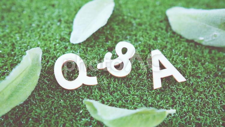 Q＆A （質問、答え）のアルファベットと芝生の上の葉っぱ　 question,and,answerの写真素材